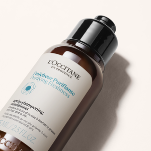 Обновленный кондиционер Чистая Свежесть, дорожный формат