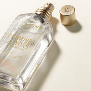 Туалетная вода Premiers Rayons (Премьер рэйон)