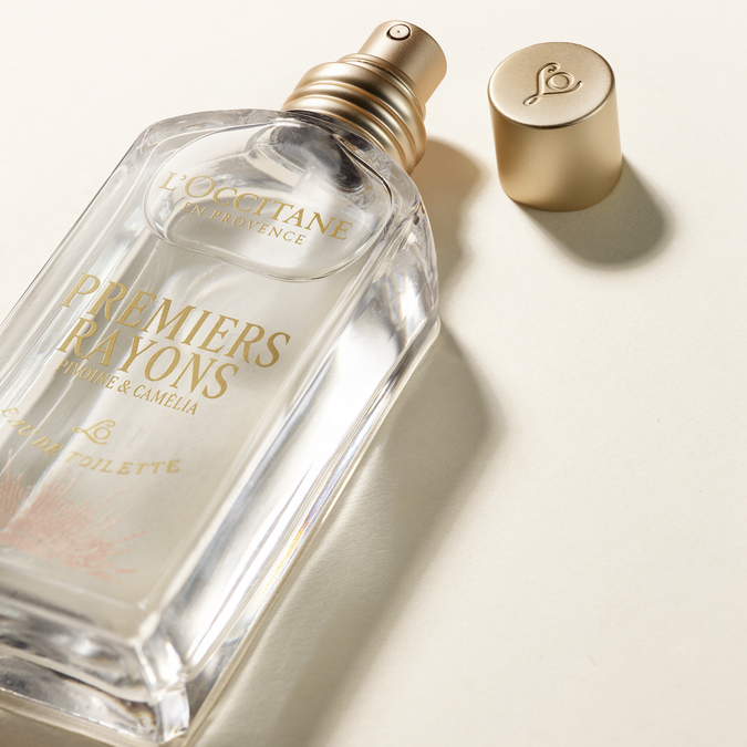 Туалетная вода Premiers Rayons (Премьер рэйон)