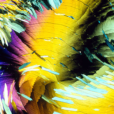 Featured Ingredient - L'Occitane