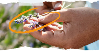 Орыс порнографиясы Орыс қыздарының мастурбациясы